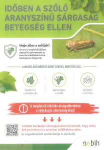 VESZ�LYBEN A SZ�L��LTETV�NYEK!