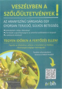 VESZ�LYBEN A SZ�L��LTETV�NYEK!